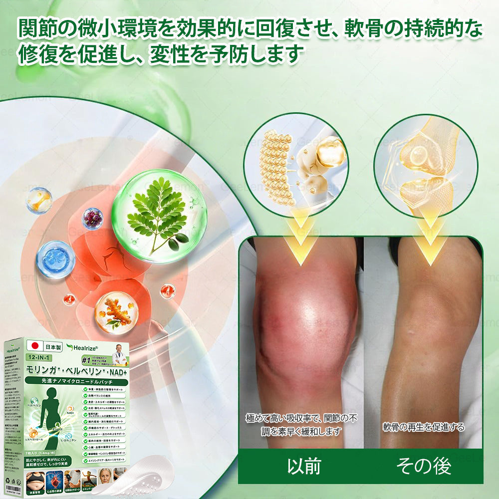 Healrize®＆NAD+ 12-in-1  ナノ強化フォーミュラ — 肥満、肌のたるみ、糖尿病、睡眠時無呼吸症候群、関節の悩み、その他健康上の懸念にアプロー 🧑‍⚕️👩‍⚕️